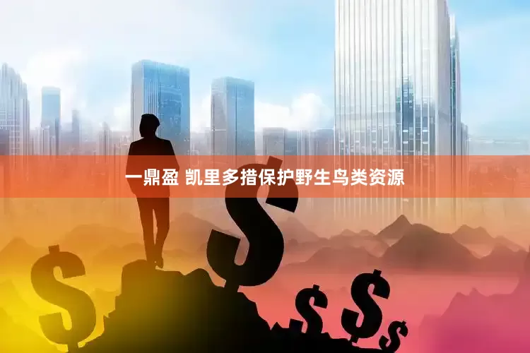 一鼎盈 凯里多措保护野生鸟类资源