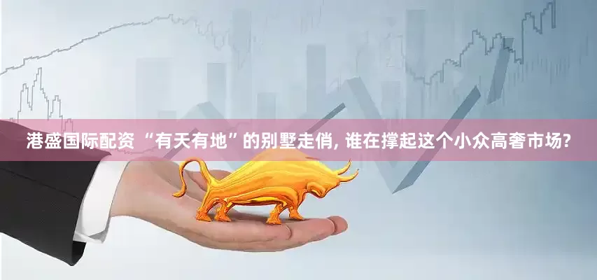 港盛国际配资 “有天有地”的别墅走俏, 谁在撑起这个小众高奢市场?