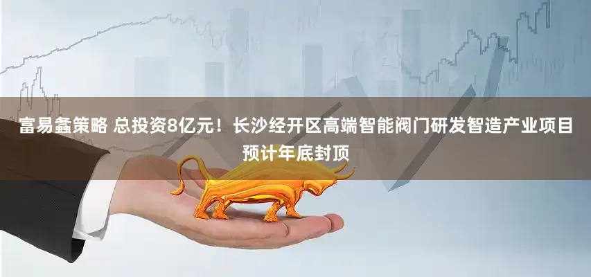 富易螽策略 总投资8亿元！长沙经开区高端智能阀门研发智造产业项目预计年底封顶